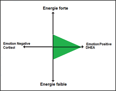 Formation Gérer fin de carrière